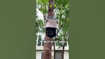 AOSU  Security Cameras:  Inexpensive Game Changer!