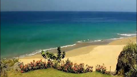 سورة الحجرات كاملة بصوت جميل ورائع يريح القلوب