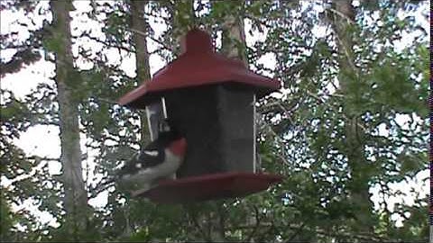 Audio Visual Catnip July 2014 Mix