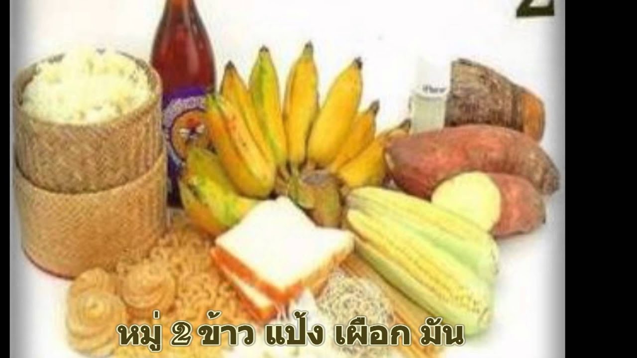 อาหารหลัก 5 หมู่ | ข้อมูลทั้งหมดเกี่ยวกับอาหาร หลัก 5 หมู่ที่แม่นยำที่สุด