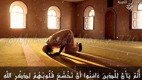 أرح سمعك || مع القارئ الشيخ ياسر الدوسري 🎧 / حالات واتساب دينية
