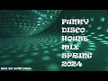 Funky disco house mix spring 2024