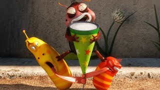 LARVA - PARTY POP | Cartoon Movie | Cartoons For Children | Larva Cartoon | LARVA Official