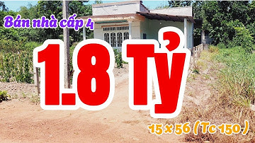 Đất Dầu Tiếng |Bán nhà cấp 4 - to đùn giá ngộp 15 x 56 ( tc 150 )#661