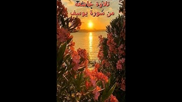 تلاوة خاشعة #سورة يوسف