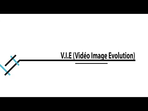 V.I.E. Vidéo Image Evolution  - Galerie W