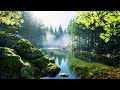 Calm Tropical River Beneath the Rainforest | Soothing Water Sounds for Sleep