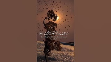 قرآن كريم بصوت جميل #قران_كريم #اكسبلور #راحة_نفسية #quran