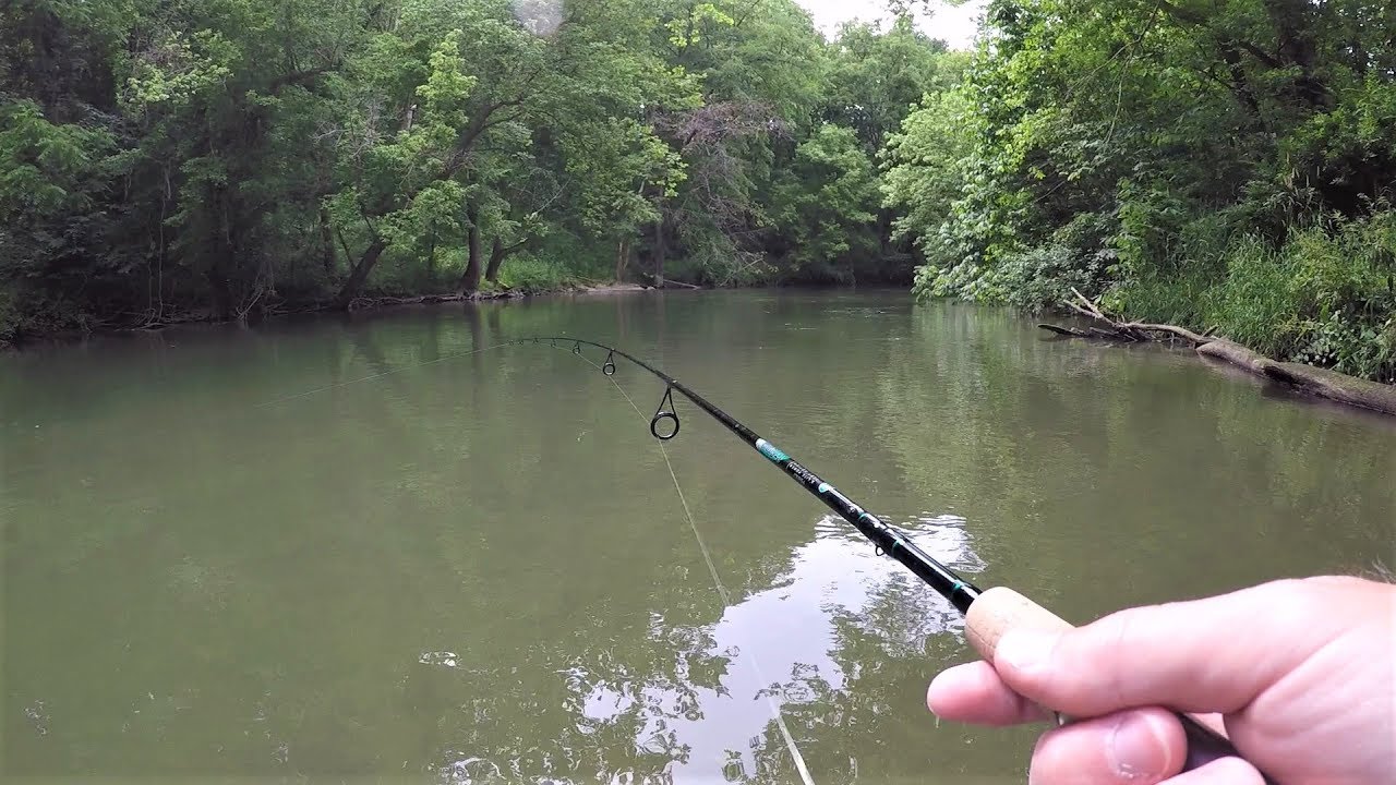 Creek Fishing for ANYTHING That Will Bite (surprise catch!) 