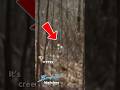 CRAWLER Captured on Camera #cryptids #crawler #creepy #cryptozoology #horror #creepyencounters