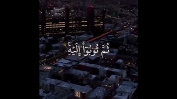 ماهر المعيقلي سورة هود.🤍🤍