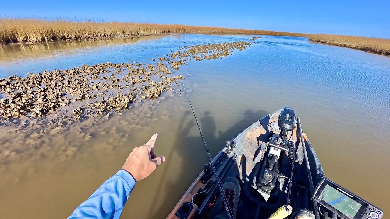 This spot always holds big fish: Surfside hot in December (S9 E15 ...