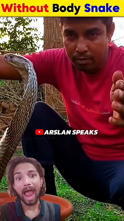 ALLAH HU AKHBER 😱😭🥺 #animals #facts #cobra #shortsteed #allahoakbar #motivational