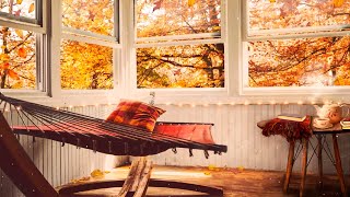 COZY Autumn Ambience:  relaxing reading room, gentle falling leaves, tea, birds, neighborhood sounds