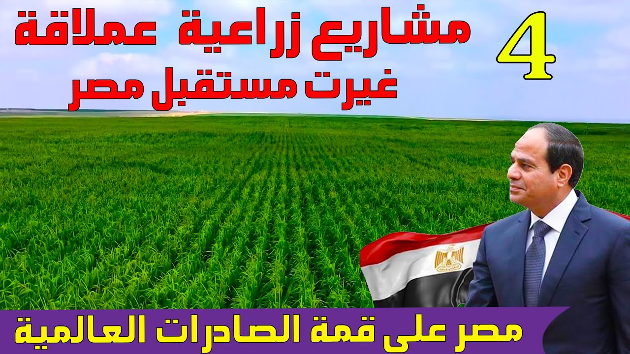 اكبر 4 مشاريع زراعية 👈 حولت مصر من عجز غذائي الى قمة الصادرات الزراعية عالميا 🌍