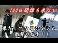 【ポケモンGO】誰も辿り着けない雪山ジム奪えば金ジムなる説【後編】