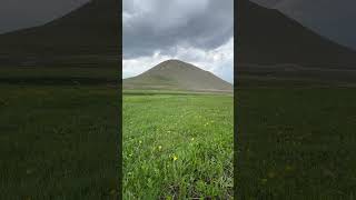 Dağlarda Sarı Çiçekler Açınca Huzur Kokar Burcu Burcu