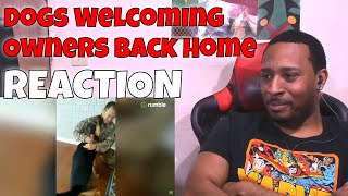 Dogs Welcome Home Their Owners After Being Away REACTION | DaVinci REACTS