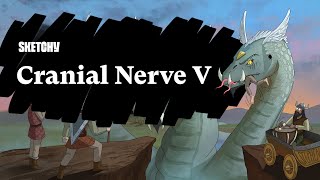 Overview of Cranial Nerve V (Trigeminal) (Full Lesson) | Sketchy Medical | USMLE Step 1