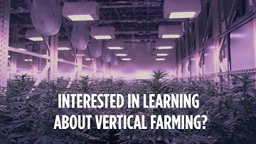 Tips and Tricks on how to Scale Your Commercial Cannabis Cultivation Footprint Segment