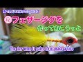 雨で釣りに行けない日には秘密のフェザージグを作る（The day when it rains Let's make a lure）