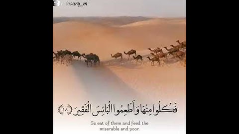 آيات الحج