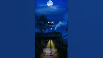 أواخر سورة القصص 🤍🥀 #quran #راحة_نفسية #قران