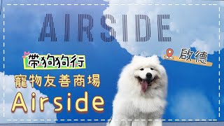 出發前必睇攻略帶狗狗行啟德寵物友善商場Airside介紹餐廳、打卡位和寵物店西摩Tako@big_dog_channel