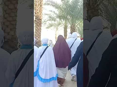 الله علي الجمال المنظر وكانهم ملاكه من ابيار علي