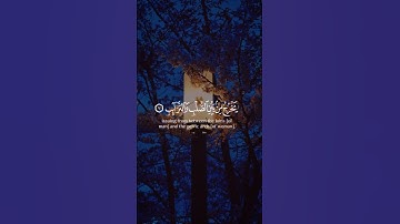 القارئ | هزاع البلوشي 🖤 سـورة | الطارق #قرآن 🎧
