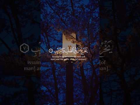 القارئ هزاع البلوشي سـورة الطارق قرآن 