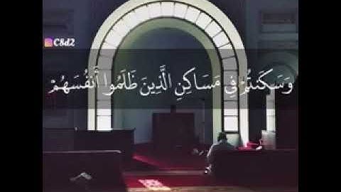 الشيخ نايف الفيصل// قران كريم// حالات واتس اب دينية// مقاطع قران قصيرة