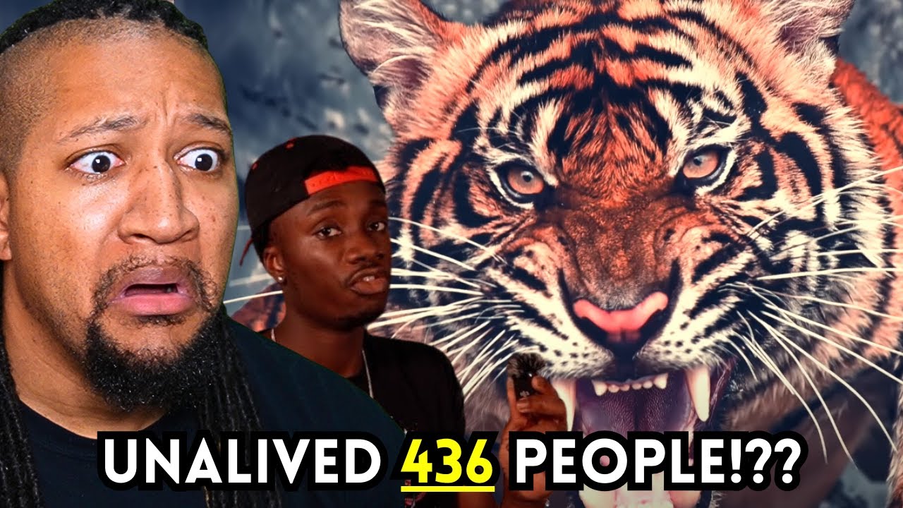 Аварии в «Царстве животных» — это просто ДЬЯВО! (Casual Geographic)