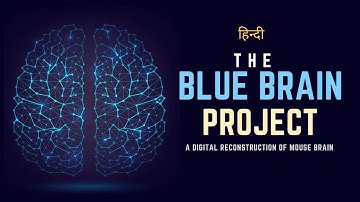 The Blue Brain Project - A Digital Reconstruction of Mouse Brain - [Hindi] - Infinity Stream
