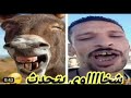 قله اصل محلاوي للشيخه ام فالح بعد ما عملته بني ادم 