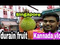 China Town Nodova | Kannada vlog part 5 @Singapore #Singapore