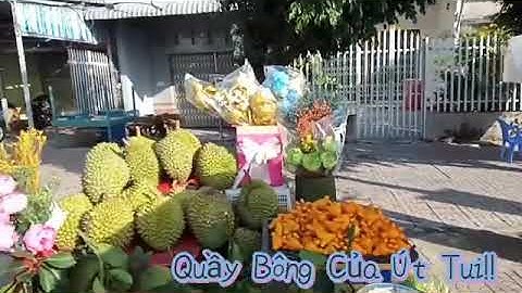 28..Tết 🎇 Tại Cầu Kênh Tắc Năm Căn /Ba Khia √Út Hằng..!!