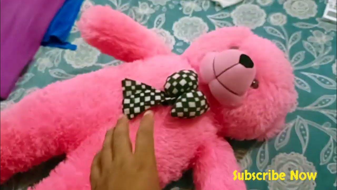 How to Wash Teddy bear at Home ?Easy,Free of Cost without Washing