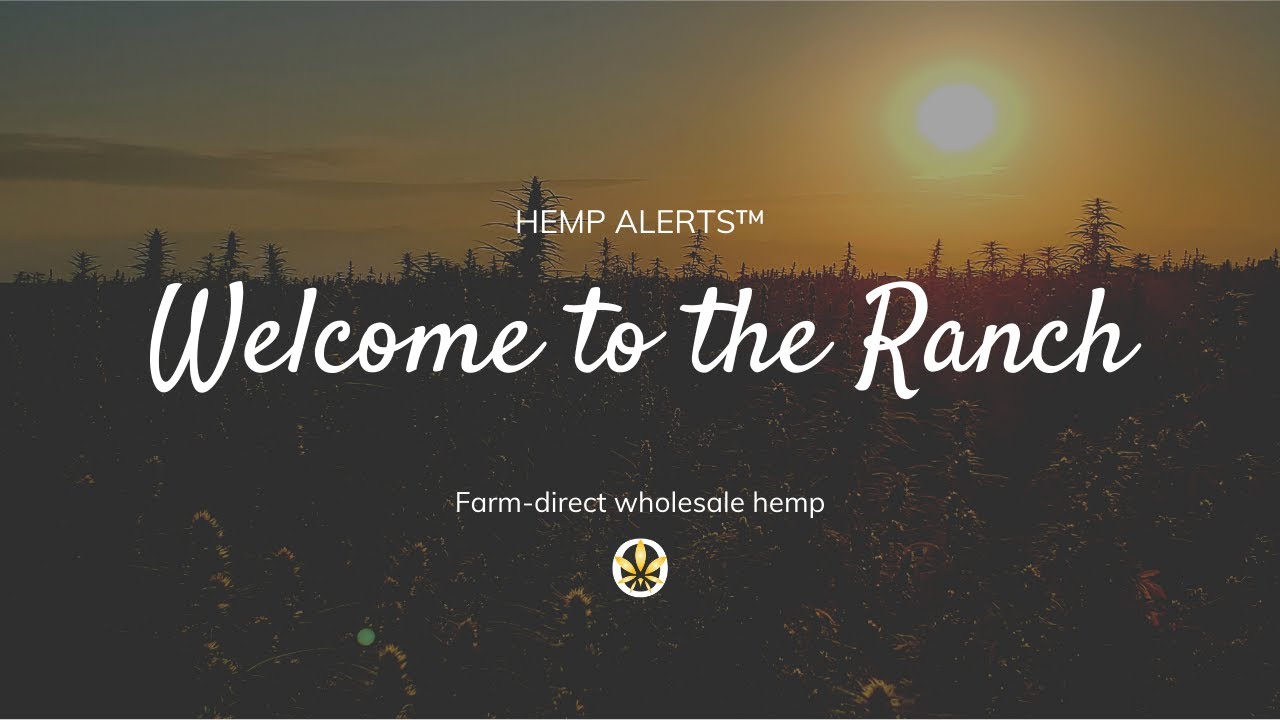 Hemp Alerts – September 12, 2019