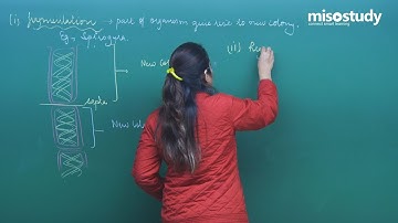 CBSE 9&10th Biology | CBSE Crash Course | Problem Solving | In English | Misostudy