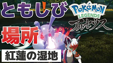 ともしびの場所 紅蓮の湿地 ポケモンレジェンズアルセウス ともしびの場所 紅蓮の湿地 ポケモンレジェンズアルセウス