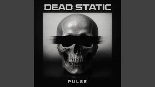 Afterpulse Echo