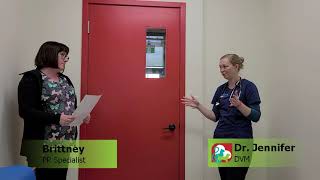 Allergy Chat With Legacy Vet Clinic