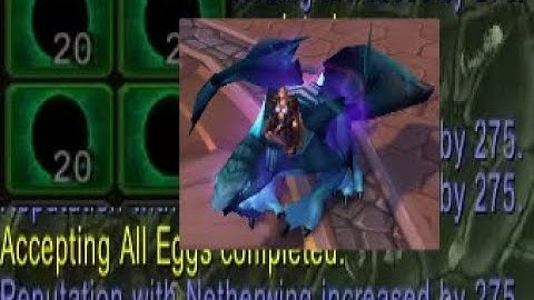 Exalted with netherwing in 1 day!  Guide by Danduine
