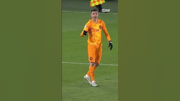 𝐕𝐀𝐑...?! 🤔 Steven Berghuis wordt geschept #ZiggoSport #EURO2024 #NEDGIB #Nederland #shorts