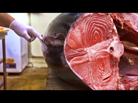 Видео: Туна загасны сэндвичийг хэрхэн яаж хийх вэ