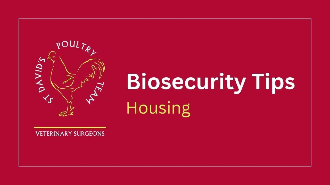 Biosecurity Tips Housing Dungannon YouTube