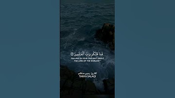 سورة الصافات للقارئ يحيى صلاقي🤍. #تلاوات