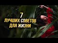 Сильные слова со смыслом - Лучшие советы для жизни