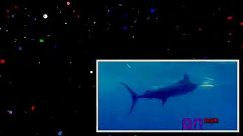 Black Marlin_ The Fastest Fish on the Planet _ Ultimate Killers _ BBC